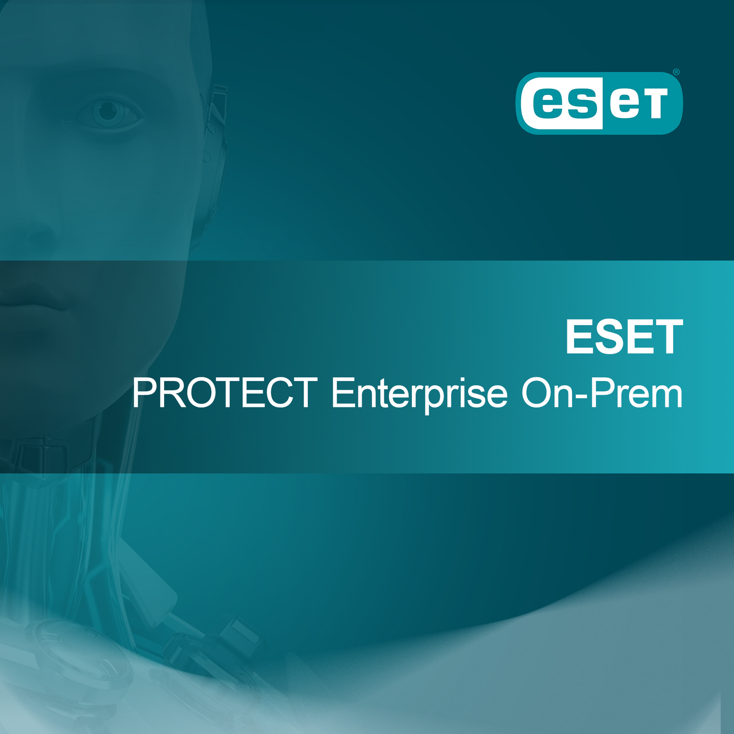 ESET PROTECT Enterprise På stedet